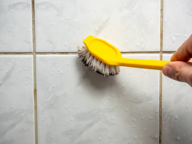 Best Best Mold Removal Companies  in Commerce, CA