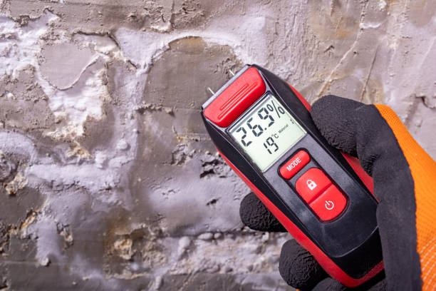 Best Fast Mold Removal  in Commerce, CA