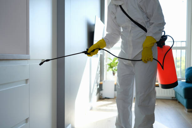 Best Toxic Mold Removal  in Commerce, CA